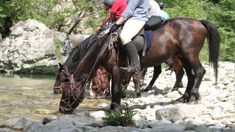 Stallet: Caravan Horse Riding Albania